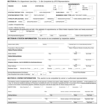 2006 Form TX DPS VI 2 Fill Online Printable Fillable Blank PDFfiller