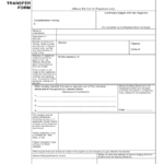 2021 Stock Transfer Form Fillable Printable PDF Forms Handypdf