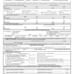 APPLICATION FOR TEXAS TITLE TYPE OR PRINT NEATLY IN INK