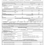 APPLICATION FOR TEXAS TITLE TYPE OR PRINT NEATLY IN INK