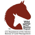 Blm Virginia Horse Center Foundation