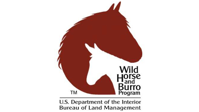 Blm Virginia Horse Center Foundation