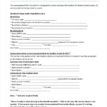 Citibank Wire Transfer Form Pdf Rapdwnload