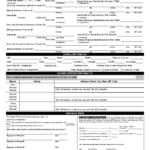 Form 411007 Download Fillable PDF Or Fill Online Application For