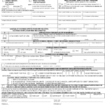 Form HSMV82101 Download Fillable PDF Or Fill Online Application For