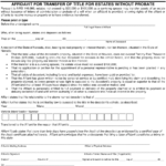 Form VP 24 Download Fillable PDF Or Fill Online Affidavit For Transfer