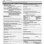 FREE 14 Sample Transfer Application Forms In PDF MS Word Excel