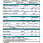 FREE 4 Title Transfer Forms In PDF