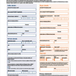 FREE 5 Motor Vehicle Transfer Forms In MS Word PDF