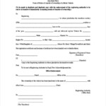 FREE 5 Motor Vehicle Transfer Forms In MS Word PDF