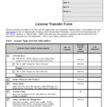 FREE 9 Sample Title Transfer Forms In PDF Word