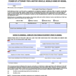 Free Florida Motor Vehicle Power Of Attorney Form PDF