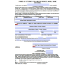 Free Florida Motor Vehicle Power Of Attorney Form PDF