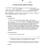 Free Florida Single Member LLC Operating Agreement Form PDF Word