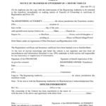 Insurance Transfer Form For Bike Pdf INSURANCE DAY