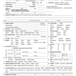 New Jersey Universal Transfer Form Fill Online Printable Fillable