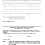 South Carolina Dmv Form 400