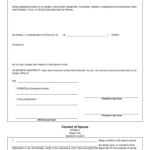 Transfer Of Land Fill Online Printable Fillable Blank PdfFiller