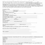 Transfer Of Ownership Contract Template Awesome 10 Best Of Real Estate