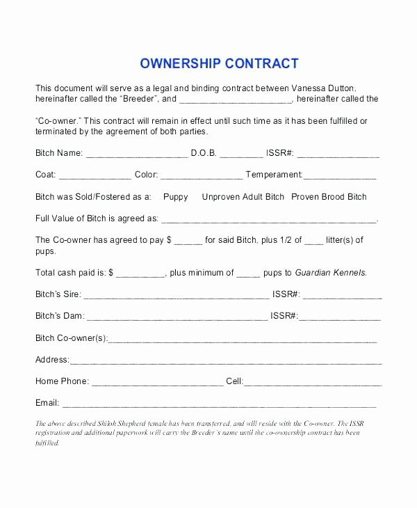 Transfer Of Ownership Contract Template Lovely Co Ownership Agreement 