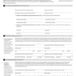 Wells Fargo Designation Of Transfer On Death TOD Beneficiary 2011